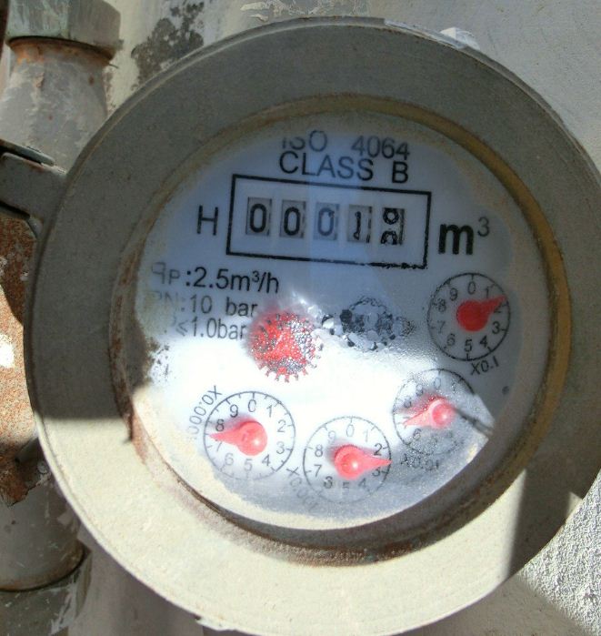 9800666.jpg